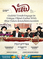 Issue 409 by The Monsey View - Issuu